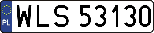 WLS53130