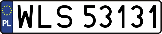 WLS53131