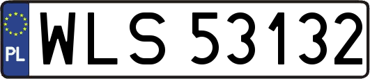 WLS53132