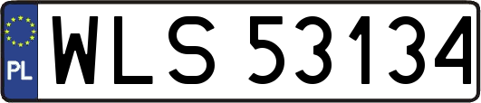 WLS53134