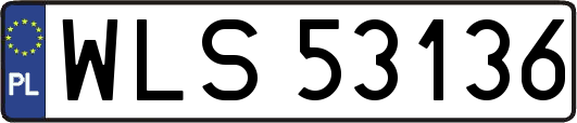 WLS53136