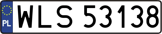 WLS53138