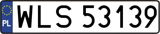 WLS53139