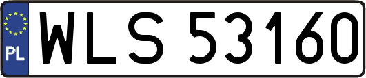 WLS53160