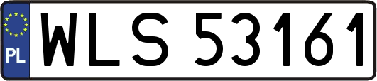 WLS53161