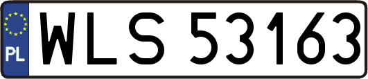 WLS53163