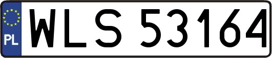 WLS53164