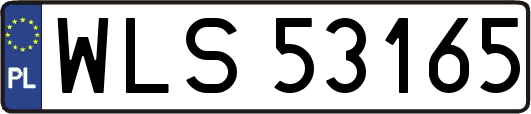 WLS53165