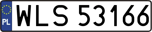 WLS53166
