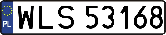 WLS53168
