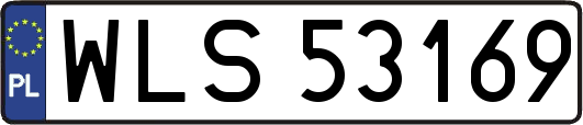 WLS53169