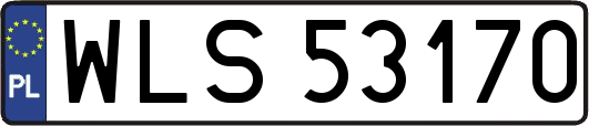 WLS53170