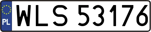 WLS53176
