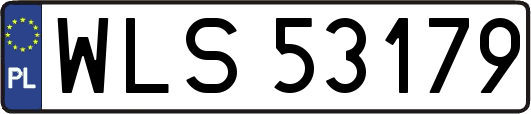 WLS53179