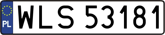 WLS53181