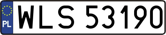WLS53190