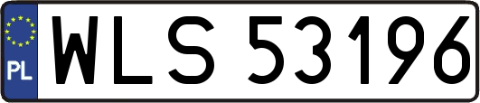 WLS53196