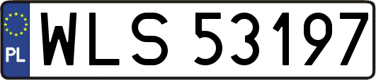 WLS53197