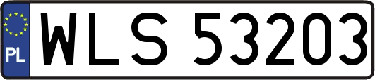 WLS53203