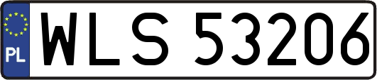WLS53206