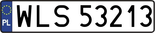 WLS53213