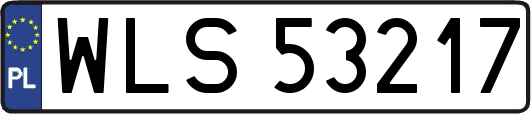 WLS53217