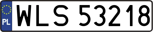 WLS53218