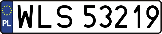WLS53219
