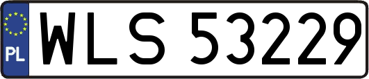 WLS53229