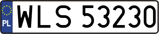 WLS53230