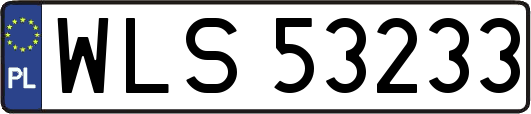 WLS53233