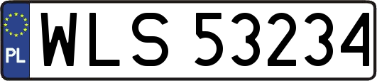 WLS53234