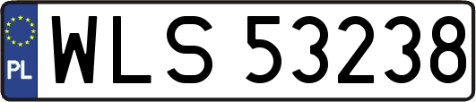 WLS53238