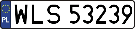 WLS53239