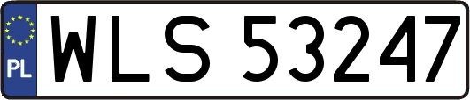 WLS53247