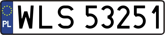 WLS53251