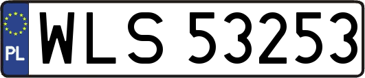 WLS53253
