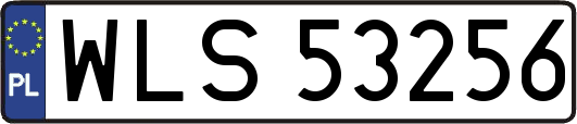 WLS53256