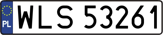 WLS53261