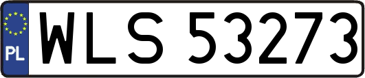 WLS53273