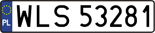 WLS53281