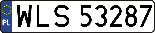 WLS53287