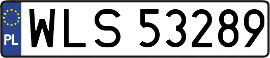 WLS53289