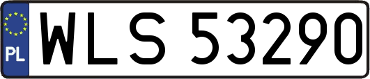 WLS53290