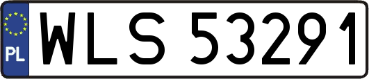 WLS53291