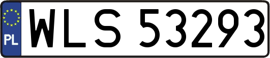 WLS53293