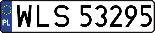 WLS53295