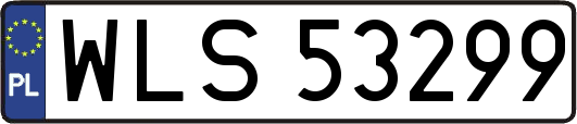 WLS53299