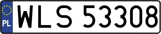 WLS53308