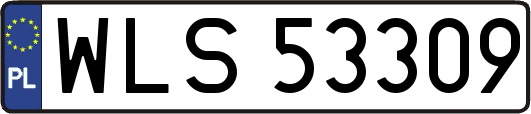 WLS53309